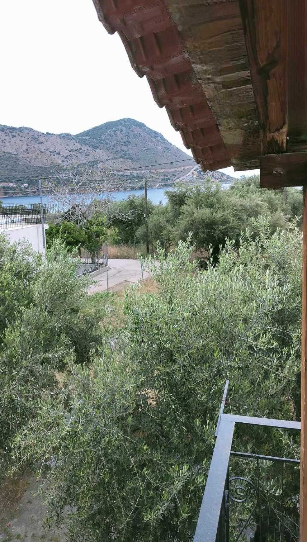 Apartment Almia